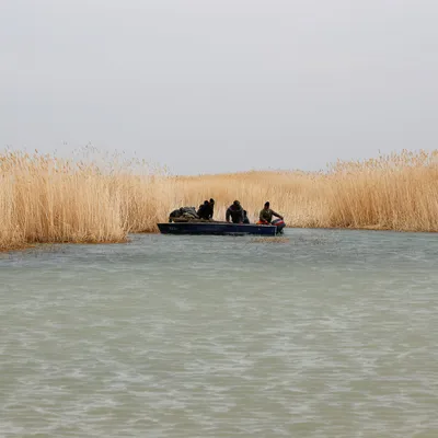 Море спасет вода — Аральское море | МФСА