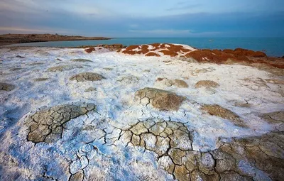 Аральцы. В плену у времени и моря. Аральское море ушло от людей больше  тридцати лет назад, но продолжает оставаться главным событием их жизни —  Новая газета