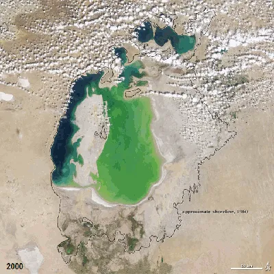 Климат, который нас изменит: о последствиях высыхания Аральского моря  высказались эксперты на конференции в Душанбе - Индустриальная Караганда