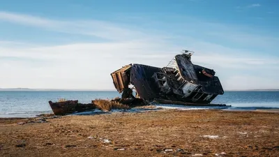 Крошечная креветка – спасательный круг для жителей Аральского моря | The  Third Pole