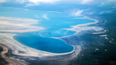 Высохшее Аральское море засеют саксаулами с самолётов – Новости Узбекистана  – NOVA24.UZ