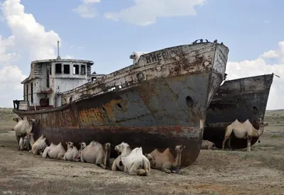 Аральское море: где находится, описание, история