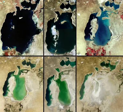 НАСА: часть узбекской акватории Аральского моря высохла полностью - РИА  Новости, 29.09.2014