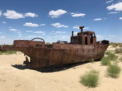 Аральское море: причины усыхания и уже наступившие последствия -  Рамблер/новости