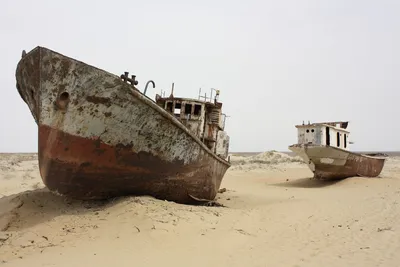 Причина исчезновения Аральского моря | Denis Korevski | Дзен