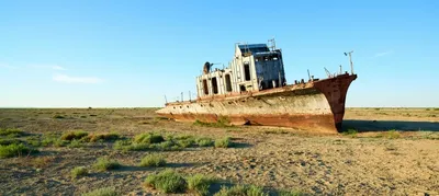 Аральские ласки: как в Центральной Азии возрождают исчезнувший водоем |  Статьи | Известия