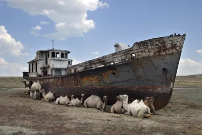 Отдых на Аральском море