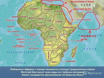 Все о самом зеленом эмирате ОАЭ: отдых в Эль-Фуджейре - Кристина Шевелёва