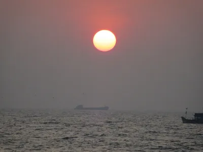 Аравийское море в Керале и Goa, покрашенных шлюпках, пальмах и San Стоковое  Изображение - изображение насчитывающей красивейшее, приглашение: 117637291