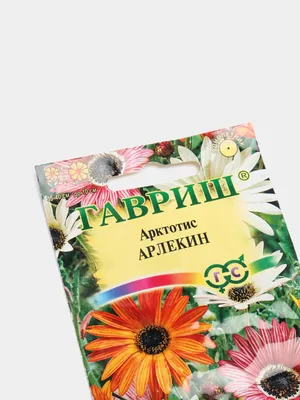 Купить Арктотис Арлекин смесь недорого по цене 21руб.|Garden-zoo.ru