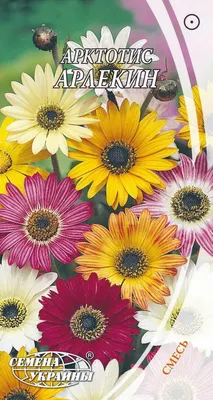 Семена цветов Арктотис гибридный \"Арлекин\", О, 0,1 г (1768559) - Купить по  цене от 7.26 руб. | Интернет магазин SIMA-LAND.RU