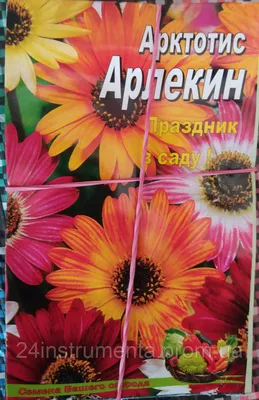 Семена Арктотис Арлекин 0,2 г, Семена Украины по лучшей цене 5 ₴ | Планета  Агро | 516919847
