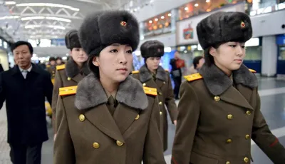Отважные воины!»: Военных Северной Кореи предложили отправить на СВО