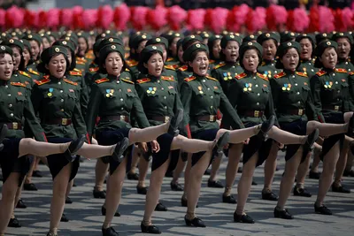 Спецназ КНДР стал главной новинкой военного парада в Пхеньяне - Российская  газета