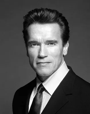 Арнольд Шварценеггер (Arnold Schwarzenegger) - актёр, режиссёр, продюсер -  фотографии - голливудские режиссёры - Кино-Театр.Ру