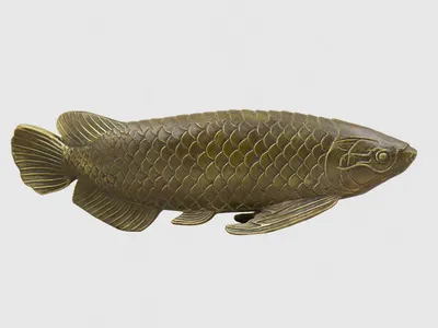 Самая дорогая аквариумная рыбка в мире | Пикабу
