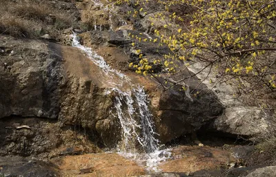 Арпатские водопады и Урочище Панагия - Крым