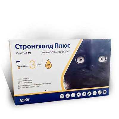 Глисты у кошки: cимптомы и профилактика читать на Еxomania