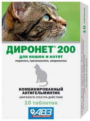Stronghold Капли 6% Средство от блох, клещей и глистов для кошек, 1 пипетка  (5501260) - купить на Korm.com.ua