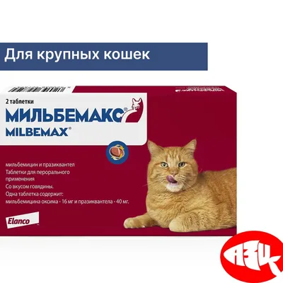 СТРОНГХОЛД ПЛЮС капли для кошек 5 - 10 кг(1 піпетка 280 грн) цена. Купить с  доставкой по Украине