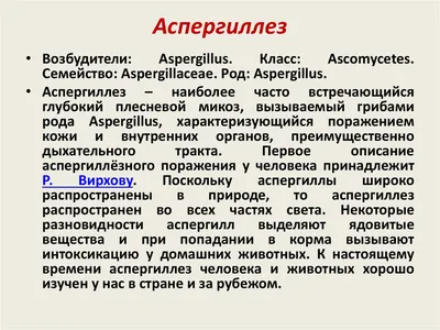 Презентация на тему: \"АСПЕРГИЛЛЕЗ Котовщикова Т.С.. Инфекционное  заболевание вызываемое плесневыми грибами рода Aspergillus, поражающее  человека и проявляющееся возникновением.\". Скачать бесплатно и без  регистрации.