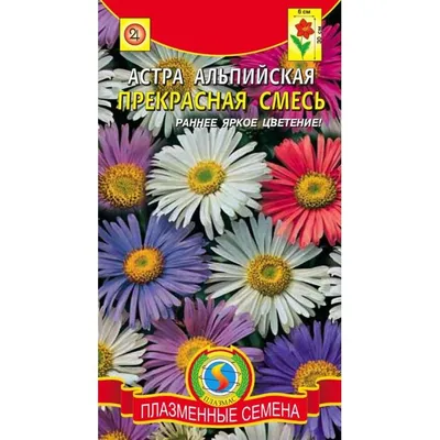 Астра альпийская (Aster alpines)