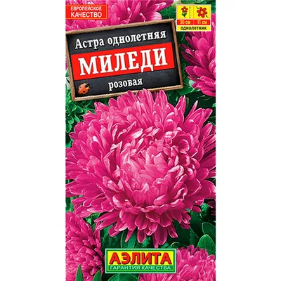 Семена цветов Астра \"Миледи\", Смесь окрасок, 0,1гр. (10290246) - Купить по  цене от 15.50 руб. | Интернет магазин SIMA-LAND.RU