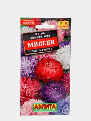 Семена Астра Миледи, смесь окрасок , 0,2г (2 шт) - РусЭкспресс