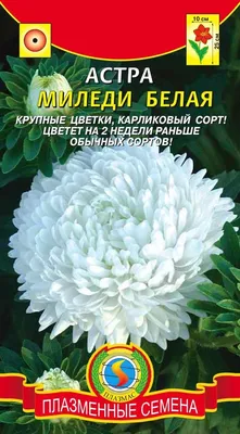 Семена Астра \"Миледи\" смесь окрасок купить по цене 44 ₽ в интернет-магазине  KazanExpress