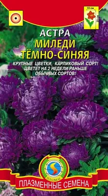 Купить семена Астра Миледи роуз (розовая) в Минске и почтой по Беларуси