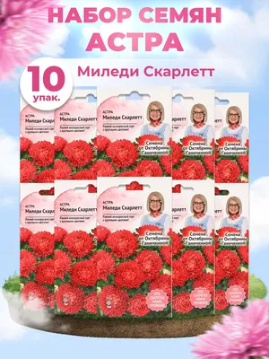 Семена цветов Астра \"Миледи смесь\", 0,2 г (10264982) - Купить по цене от  13.90 руб. | Интернет магазин SIMA-LAND.RU