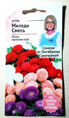 Астра китайская 'Миледи Микс' (смесь), купить рассаду оптом и в розницу, с  доставкой