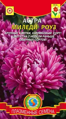 Астра МИЛЕДИ СМЕСЬ. Прочие однолетние. Семена цветов. Интернет-магазин  Уральский дачник — Бордюрная