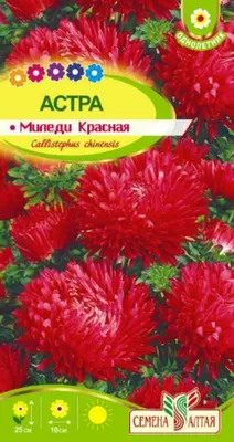 Астра «Миледи» смесь окрасок 0.2 г – купить в Алматы по цене тенге –  интернет-магазин Леруа Мерлен Казахстан