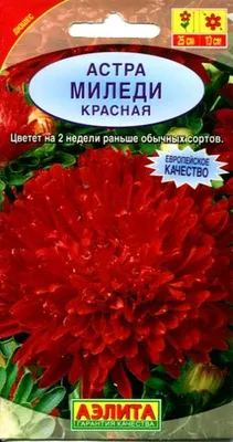 Русский Огород Семена Цветы Астра Миледи