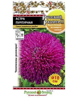 Семена цветов Астра Летняя раннецветущая смесь 0,2 г – купить семена цветов  Астра Летняя раннецветущая смесь 0,2 г в Переславле-Залесском