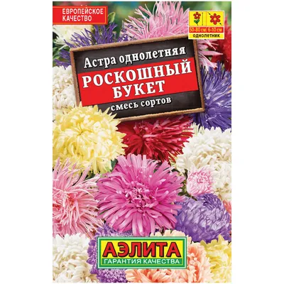 Астра \"Синий экспресс\", семена, цветы купить по цене 44.1 ₽ в  интернет-магазине KazanExpress
