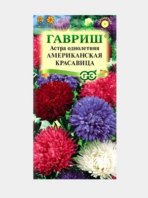 Астра пионовидная Янина, семена цветов, Legutko, Польша. 0,2 г.