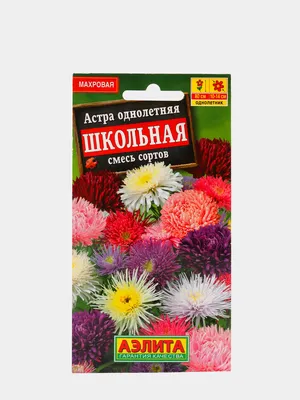 Купить Семена - Астра Ангора, краллен, 0,25 г. ❱❱ Колибри-маркет ❰❰❰