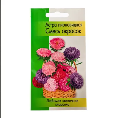 Агрофирма Аэлита Семена цветов астры для сада однолетних семена Астра 3 шт