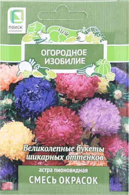 Астра Принцесса ярко-красная, семена цветов, Legutko, Польша.