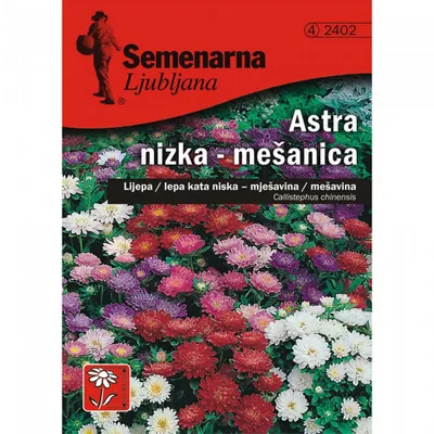 Семена цветов Семетра Астра Коготковая синяя, 0,3 г: купить в Москве, цена  19 руб. в интернет-магазине | Код: VR208000