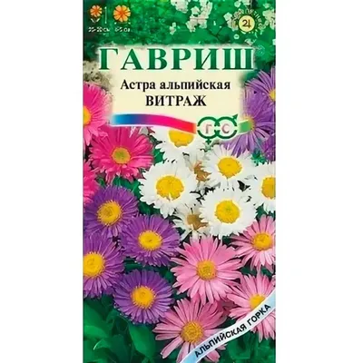 Астра семена - купить в Дмитрове, Москве и Московской области по низкой цене