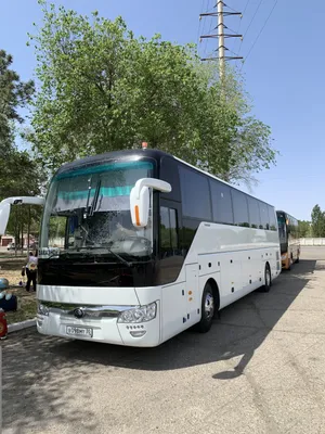 Астраханское озеро, в котором разрешали купаться лишь раз в году -  Рамблер/новости