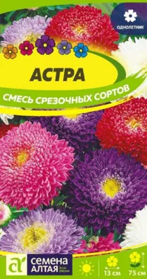 ✓ Семена Астра Леди Корал светло-синяя, розовидная, 0,05г, Гавриш, Satimex  по цене 36 руб. ◈ Большой выбор ◈ Купить по всей России ✓ Интернет-магазин  Гавриш ☎ 8-495-902-77-18