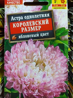 Астра Смесь Срезочных Сортов 0,3 гр. купить оптом в Томске по цене 15,57  руб.