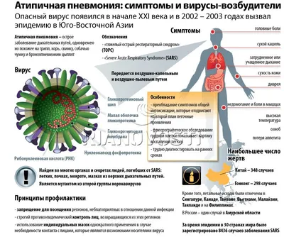 ГБУ РО «ДГП №1»