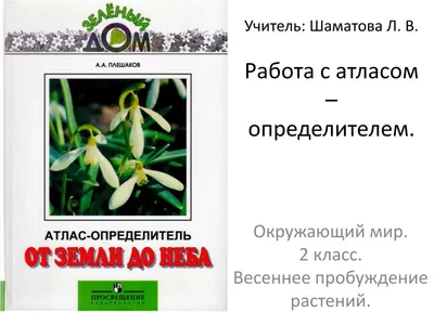 От земли до неба. Атлас-определитель - купить книгу в интернет-магазине  CentrMag по лучшим ценам! (00001904)