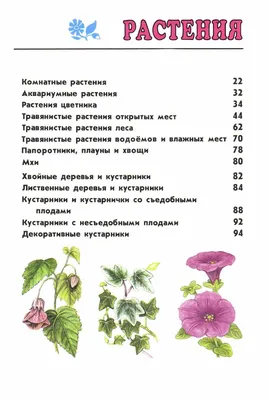 От земли до неба. Атлас-определитель. Андрей Плешаков - «Портфель купили,  форму купили, карандаши, альбом тоже купили. Атлас! Атлас не купили!  Родители будущих первоклашек, не упустите этот момент! Кому этот атлас  просто необходим