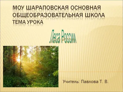 Книга Просвещение От земли до неба. Атлас-определитель. 1-4 класс купить по  цене 1181 ₽ в интернет-магазине Детский мир